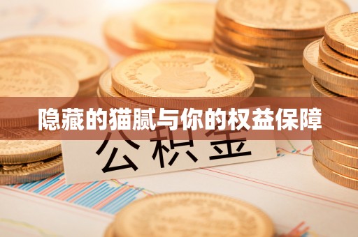 蕲春隐藏的猫腻与你的权益保障